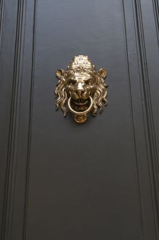 metallic door handle in shape of lion head with big knocking ring