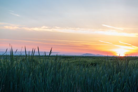 Beautiful Sunset By A Grassy Marsh