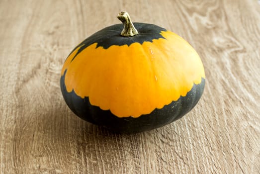 decorative pumpkin yellowish-green on the table