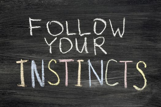 follow your instincts phrase handwritten on blackboard