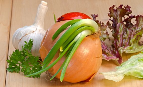 Photo shows details of various vegetable salad ingredients.