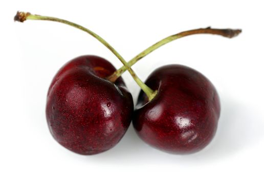 Two delicious dark red riped cherries