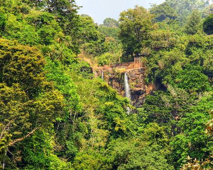 African lush rainforest around high Mamy Wata waterfall, Cameroon nature background