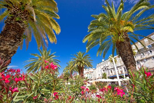 City of Spli palm waterfront and Diocletian's Palace view, Dalmatia, Croatia