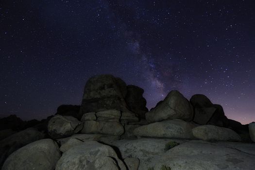 Star Trails and Milky Way in Joshua Tree National Park