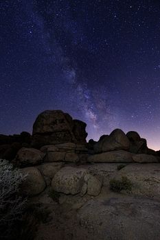 Star Trails and Milky Way in Joshua Tree National Park