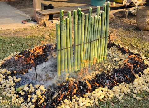 glutinous rice roasted in bamboo joints , sticky rice soaked in coconut milk and baked in a length of bamboo  , riz gluant dans une section de bambou
