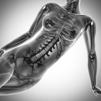 woman  radiography scan on white
