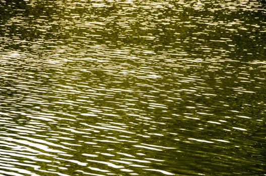 Green Water Pattern Texture Background with Ripples
