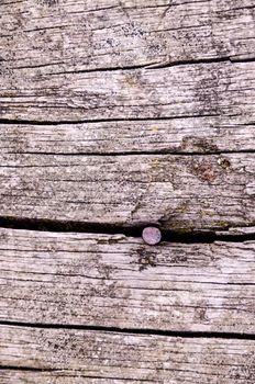 Abstract Background Wooden Old Grunge Floor Boards