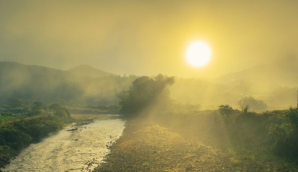 The landscape scene of field with sunrise in the morning.