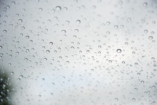 The water drops on glass for background.