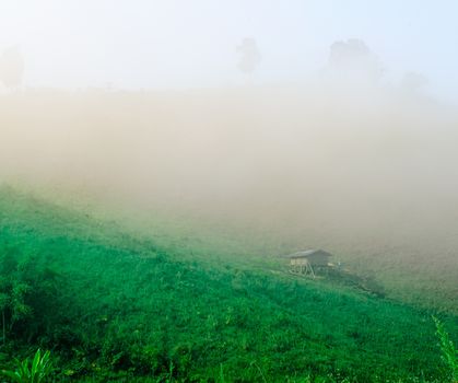 The Cottage is in the Mist on Hill.