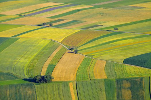 Aerial view of agricultural fields