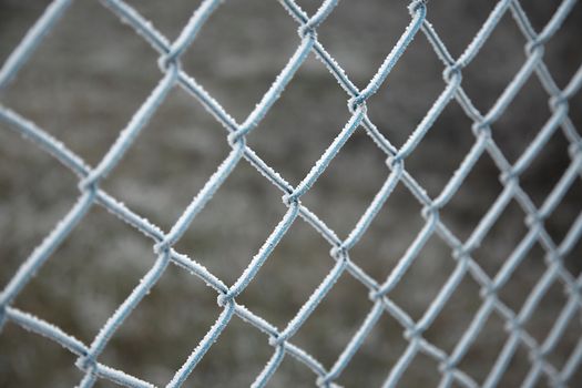 Frozen wire fence in winter frost