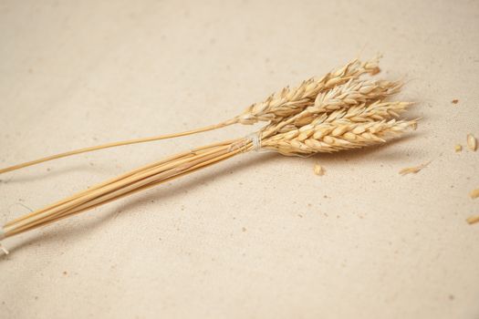 Wheat seed on sackcloth background