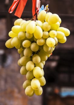 white fresh grapes hanged in a market