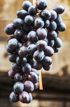 red fresh grapes hanged in a market