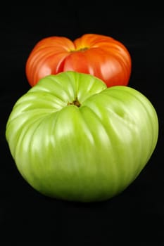 ripe and unripe tomato