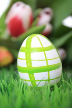 easter egg green white on meadow with tulip in the background