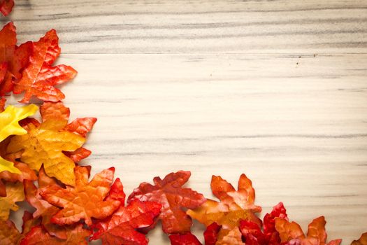 colorful leaves on a rustic wood background 