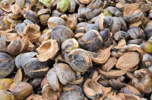 Pile of Coconut shell awaiting transport to plant fibers in Thailand