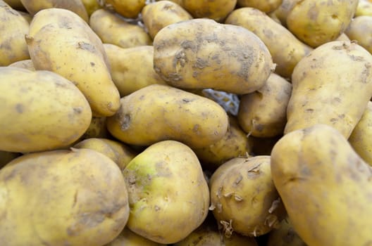 Pile raw potato tubers waiting sold in market