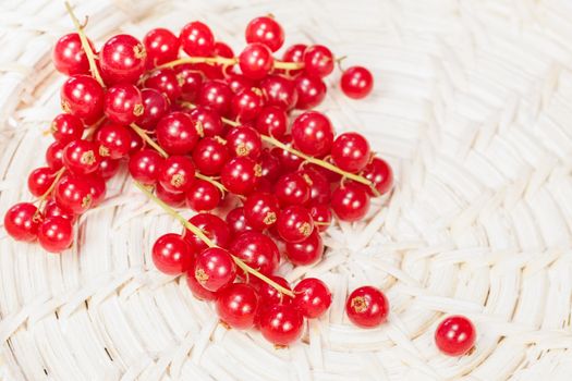 Fresh harvested red currants. Macro, selective focus