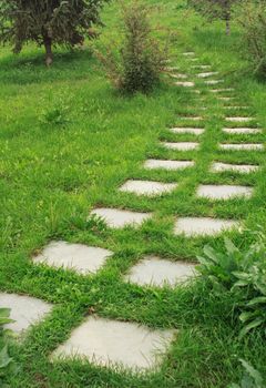 stone walkway on the grass in the park