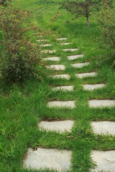 stone walkway on the grass in the park