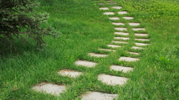 stone walkway on the grass in the park