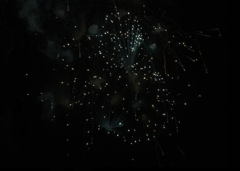 beatiful firework explosion in the night sky