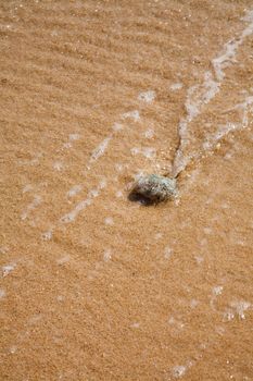 Beautiful surfing tropical sand beach detail on sunny summer day