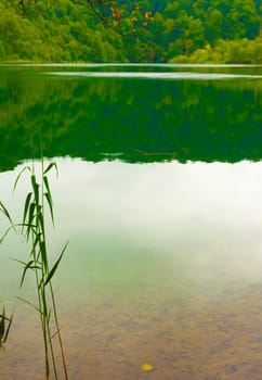 Beautiful Lake in Autumn Detail, nice nature background