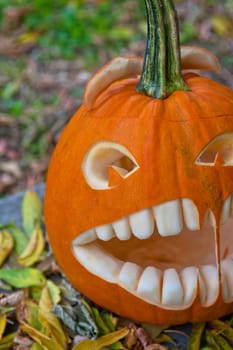 Halloween pumpkin on leaves background
