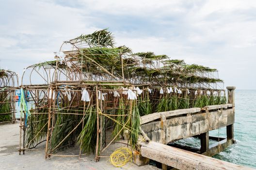 Tools for coastal fishing, Local knowledge of the Thailand