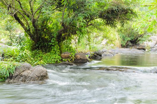 Streams in forest at Kaeng Som Maw, Small waterfall at tropical forests in Ratchaburi Province of Thailand.
