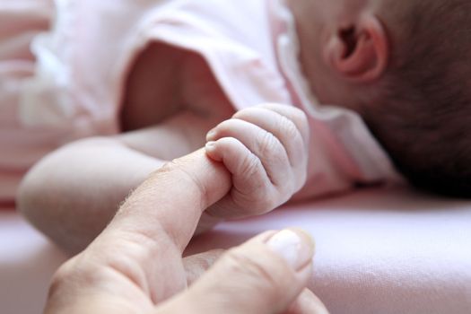 The image of hands of parents and the child