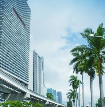 Palms and skyscrapers of Miami, Florida - USA.