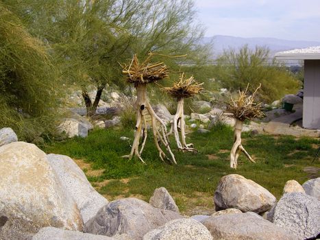 Branches used as decoration in desert environment