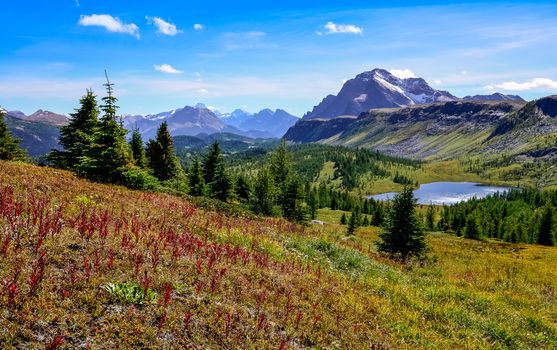 Scenic view of mountains in Banff national park near Egypt lake, Alberta, Canada