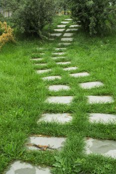 stone walkway on the grass in the park
