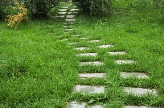 stone walkway on the grass in the park