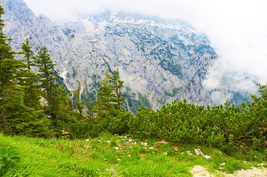 Bavarian landscape at Alps with low clouds