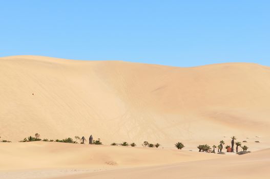 Dune 7 in the Namib desert near Walvisbaai, Namibia
