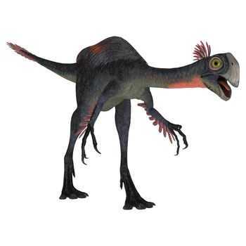 D digital render of a dinosaur gigantoraptor isolated on white background
