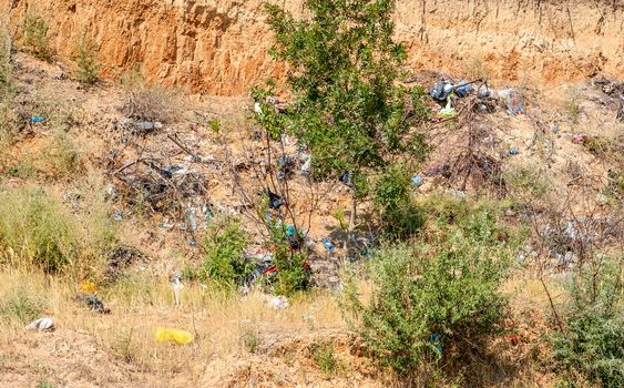 Heap of the rubbish on timber glade