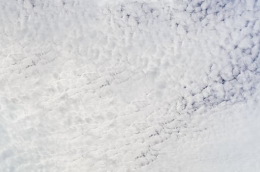 Sky with many white clouds in the summer
