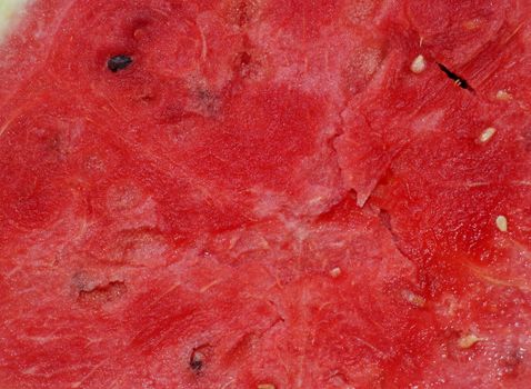 The flesh is juicy watermelon close-up as background