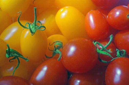 Red and yellow tomatoes "cherry" as background